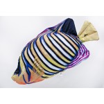 Gaby Regal Angelfish